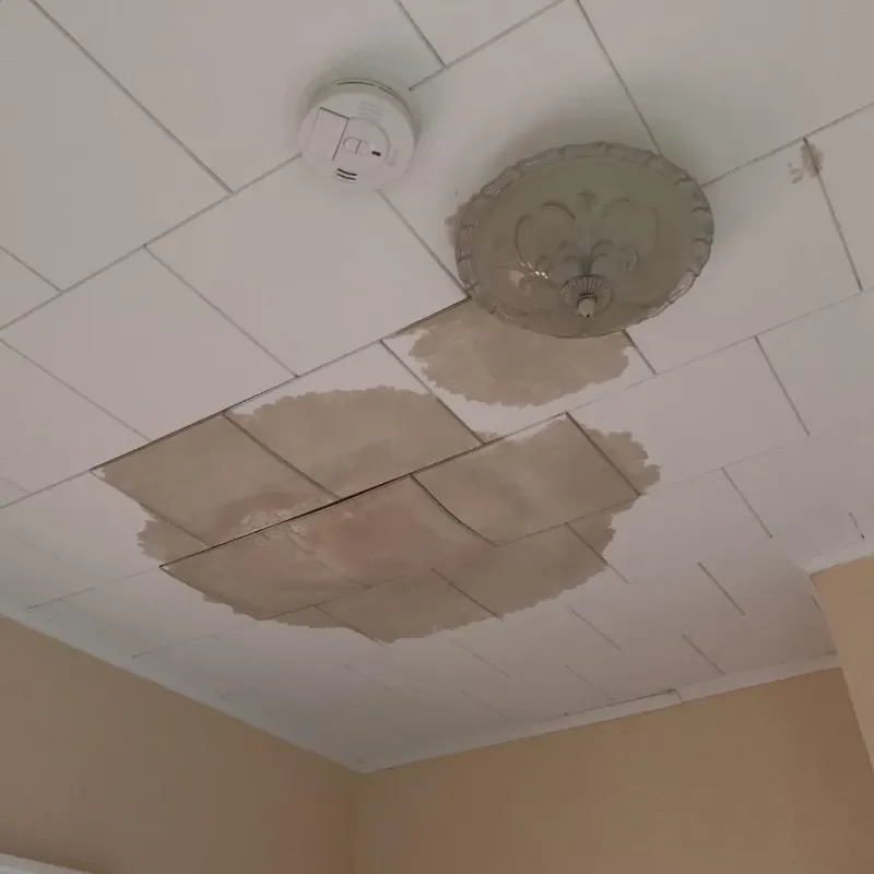 Ceiling Water Damage Repair in Milford, NJ